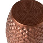 MESA-CENTRO-RAJIV-Imagen-1